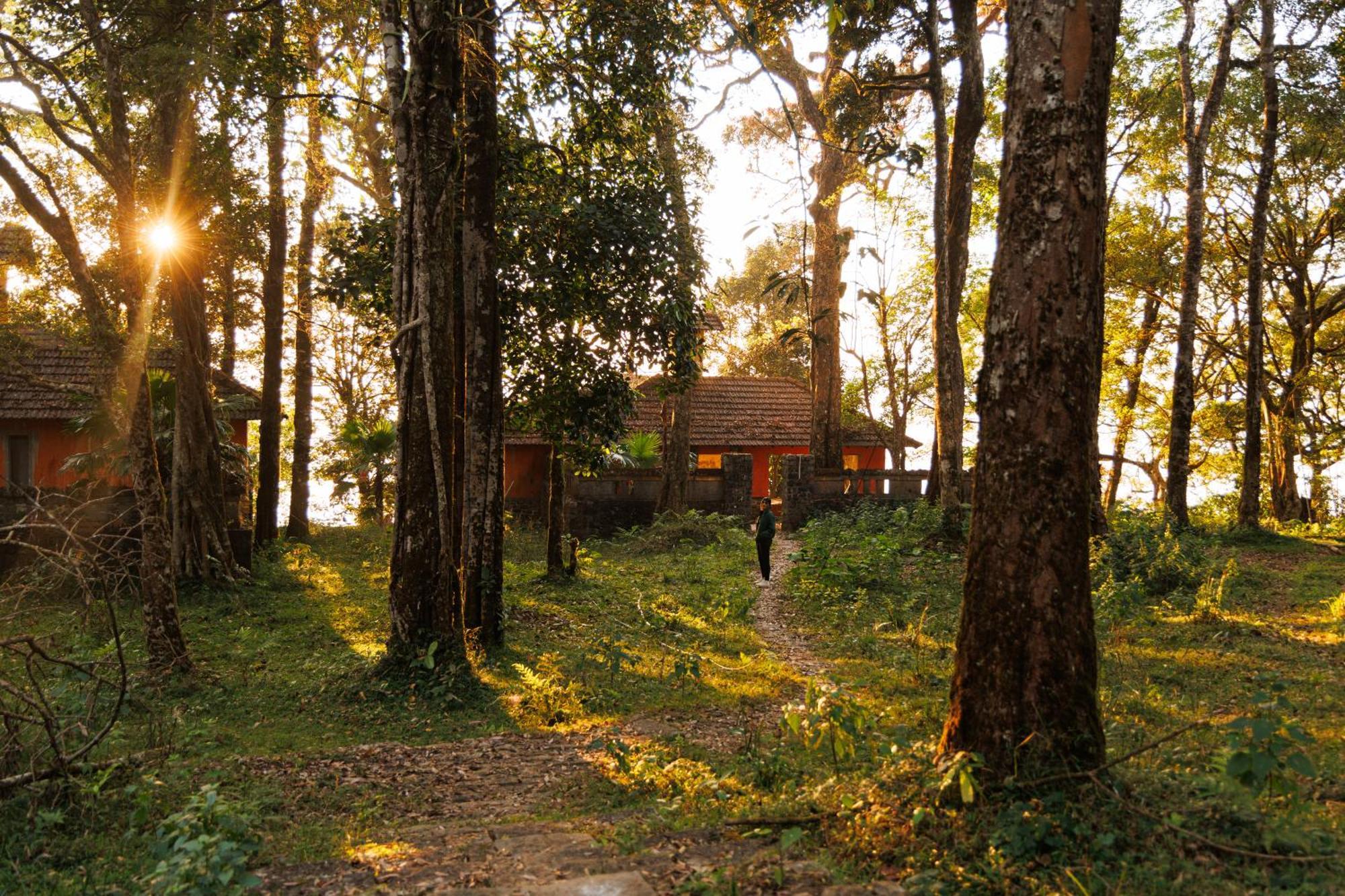 Jungle Park Resort By Greenescapes Vythiri Eksteriør bilde