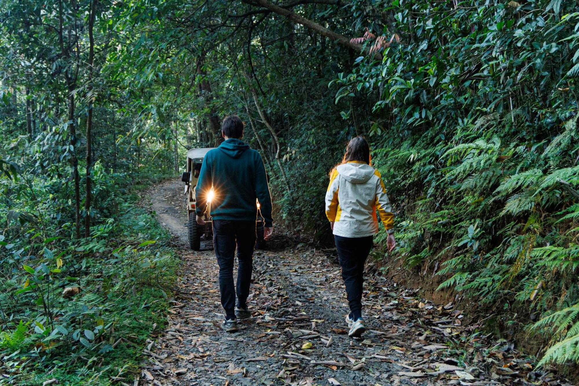 Jungle Park Resort By Greenescapes Vythiri Eksteriør bilde